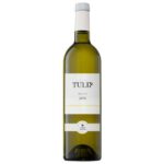 טוליפ וויט טוליפ