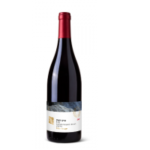 הרי גליל כרם הצוק – מנרה Galil Mountain Hatzuk – Manara Vineyard